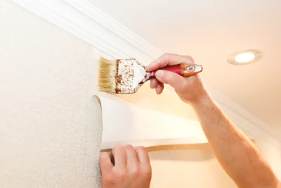Pose de papier peint à Samsons-Lion — revêtements muraux et toiles de verre
